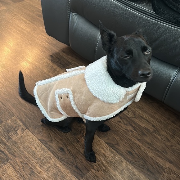 Dog coat Faux Sherpa M - Picture 4 of 10